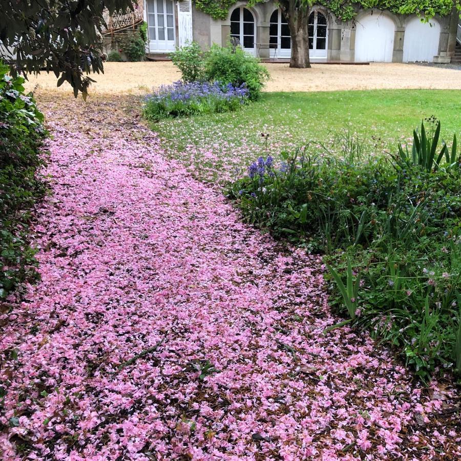 Au Rez De Jardin Hotel Cholet Exterior foto