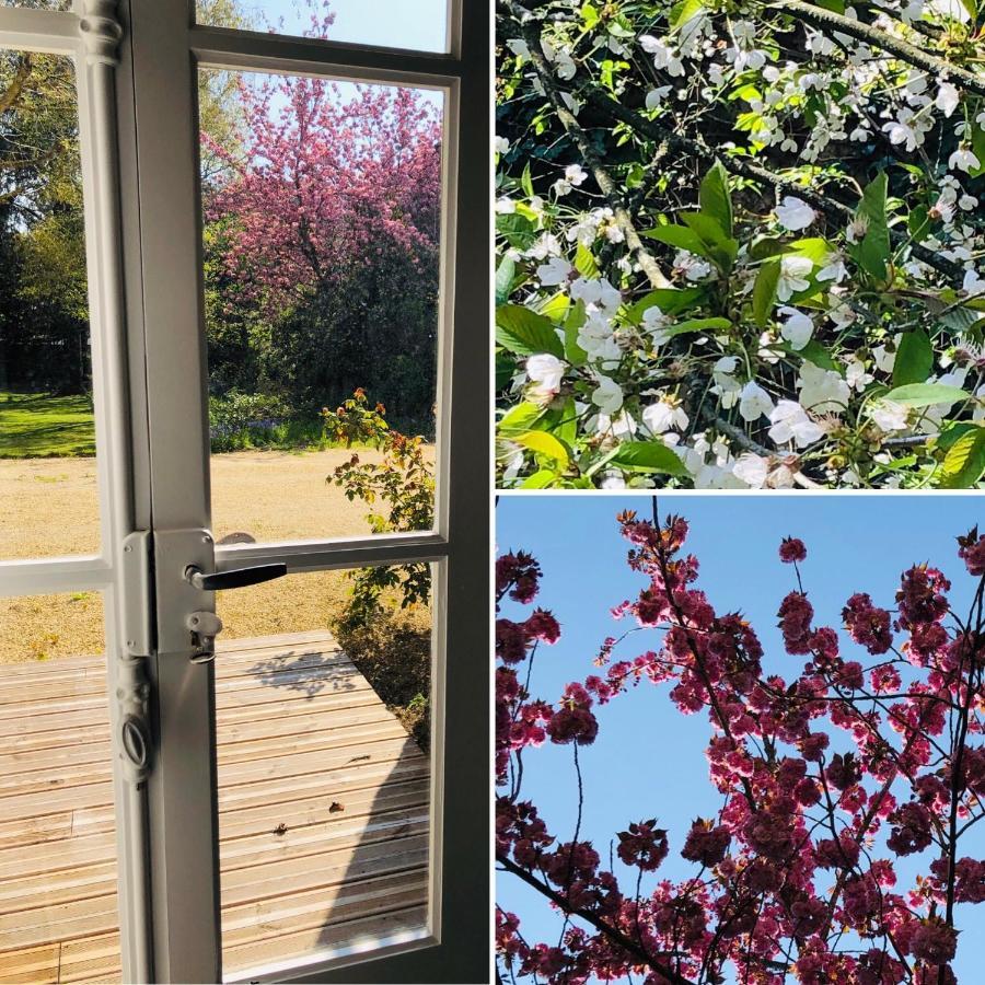 Au Rez De Jardin Hotel Cholet Exterior foto