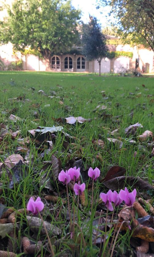 Au Rez De Jardin Hotel Cholet Exterior foto